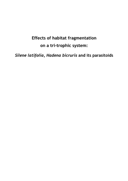 Effects of Habitat Fragmentation on a Tri-Trophic System