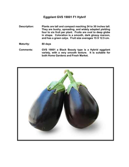Eggplant GVS 19001 F1 Hybrif