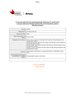 A Sexual Hybrid and Autopolyploids Detected in Seed from Crosses Between Neslia Paniculata and Camelina Sativa (Brassicaceae)
