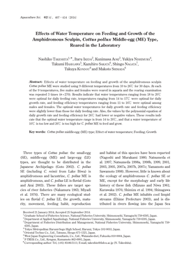 Effects of Water Temperature on Feeding and Growth of the Amphidromous Sculpin, Cottus Pollux Middle-Egg (ME) Type, Reared in the Laboratory