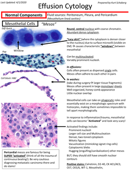 Effusion Cytology