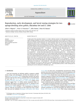 Reproduction, Early Development, and Larval Rearing Strategies for Two Sponge-Dwelling Neon Gobies, Elacatinus Lori and E. Colin