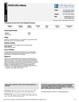 DHX29 (G63) Antibody A