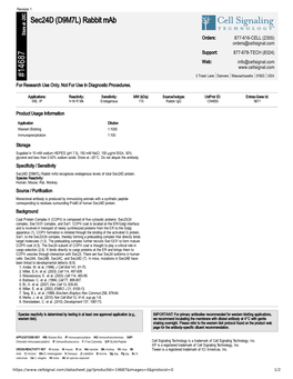 14687 Sec24d (D9M7L) Rabbit Mab