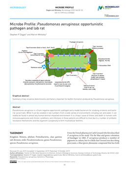 Microbe Profile: Pseudomonas Aeruginosa: Opportunistic Pathogen and Lab Rat