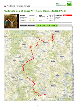 Flammersfeld (Ost-West)