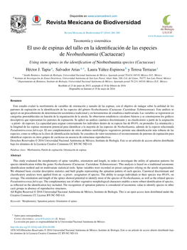 El Uso De Espinas Del Tallo En La Identificación De Las Especies De Neobuxbaumia (Cactaceae)