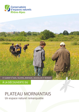 PLATEAU MORNANTAIS Un Espace Naturel Remarquable « Du Haut De Ce Plateau, Plusieurs Siècles D’Histoire Nous Contemplent »