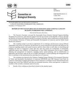 REPORT of the SUSTAINABLE OCEAN INITIATIVE (SOI) NATIONAL CAPACITY BUILDING WORKSHOP for CAMEROON Note by the Executive Secretary 1