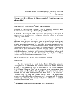 Biology and Host Plants of Hippotion Celerio(L