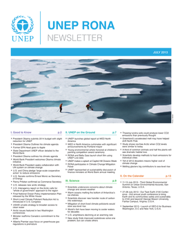 Unep Rona Newsletter