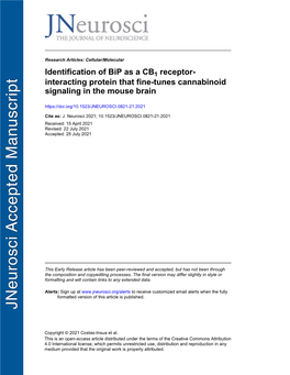 Identification of Bip As a CB1 Receptor-Interacting Protein That Fine