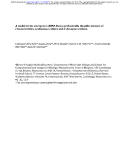 A Model for the Emergence of RNA from a Prebiotically Plausible Mixture of Ribonucleotides, Arabinonucleotides and 2’-Deoxynucleotides