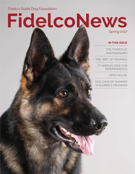 Fidelco Guide Dog Foundation Spring 2017