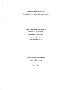 Isolation and Characterisation of a Cathepsin L Proteinase