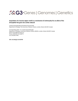 Acquisition of a Leucine Zipper Motif As a Mechanism of Antimorphy for an Allele of the Drosophila Hox Gene Sex Combs Reduced