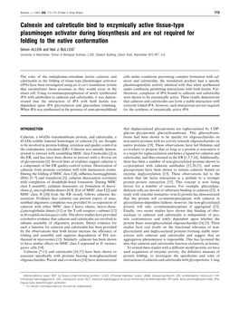 Calnexin and Calreticulin Bind to Enzymically Active Tissue-Type