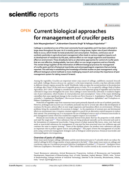 Current Biological Approaches for Management of Crucifer Pests Saini Mayanglambam1,2, Kabrambam Dasanta Singh1 & Yallappa Rajashekar1*