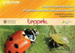 Guide to Identification of Aphids and Their Natural Enemies