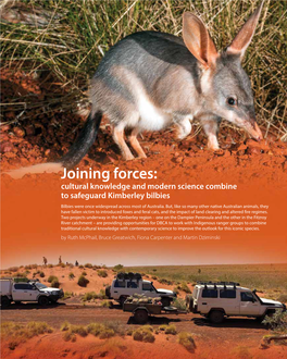 Joining Forces: Cultural Knowledge and Modern Science Combine to Safeguard Kimberley Bilbies Bilbies Were Once Widespread Across Most of Australia