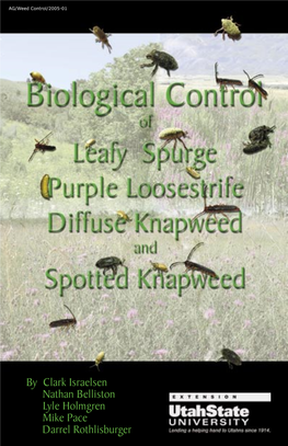 Biological Control of Purple Loosestrife