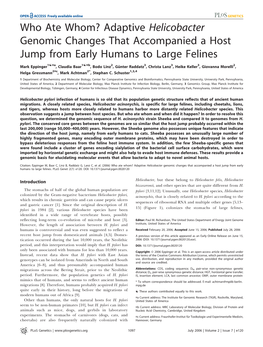 Adaptive Helicobacter Genomic Changes That Accompanied a Host Jump from Early Humans to Large Felines