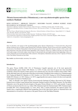 Thismia Brunneomitroides (Thismiaceae), a New Mycoheterotrophic Species from Southern Thailand