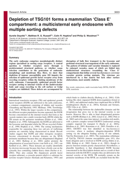 Depletion of TSG101 Forms a Mammalian ‘Class E’ Compartment: a Multicisternal Early Endosome with Multiple Sorting Defects