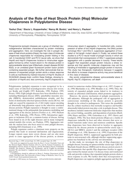 Analysis of the Role of Heat Shock Protein (Hsp) Molecular Chaperones in Polyglutamine Disease