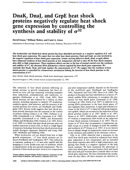 Dnak, Dnaj^ and Grpe Heat Shock Proteins Negatively Regulate Heat Shock Gene Expression by Controlling the Synthesis and Stability of A^^