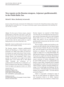 New Reports on the Russian Sturgeon, Acipenser Gueldenstaedtii, in the Polish Baltic Sea