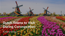 Dutch Towns to Visit During Coronacation