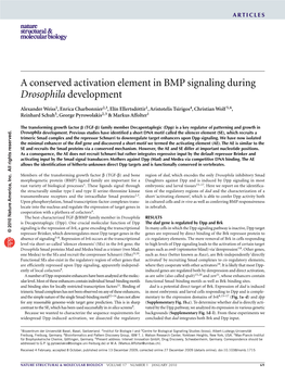 A Conserved Activation Element in BMP Signaling During Drosophila Development