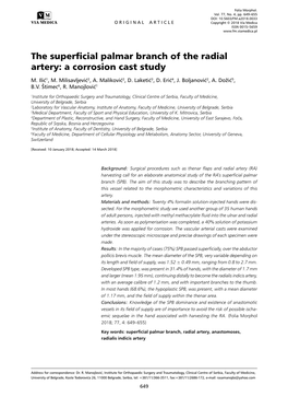 The Superficial Palmar Branch of the Radial Artery: a Corrosion Cast Study M