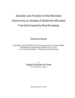 Diversity and Function of the Microbial Community on Anodes of Sediment Microbial Fuel Cells Fueled by Root Exudates