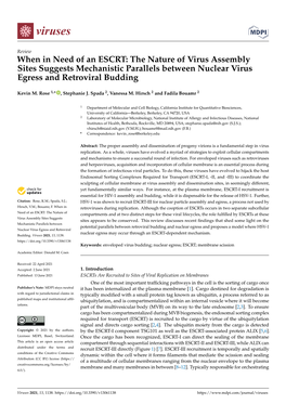 When in Need of an ESCRT: the Nature of Virus Assembly Sites Suggests Mechanistic Parallels Between Nuclear Virus Egress and Retroviral Budding