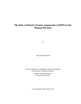 The Role of Polarity Protein Angiomotin (AMOT) in the Human Placenta