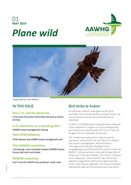 AAWHG Newsletter | May 2019