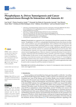 Phospholipase A2 Drives Tumorigenesis and Cancer Aggressiveness Through Its Interaction with Annexin A1