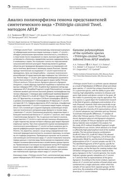Анализ Полиморфизма Генома Представителей Синтетического Вида ×Trititrigia Cziczinii Tsvel