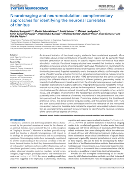 Neuroimaging and Neuromodulation: Complementary Approaches for Identifying the Neuronal Correlates of Tinnitus