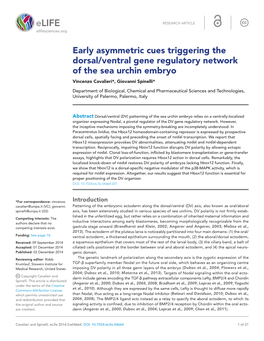 Early Asymmetric Cues Triggering the Dorsal/Ventral Gene Regulatory Network of the Sea Urchin Embryo Vincenzo Cavalieri*, Giovanni Spinelli*