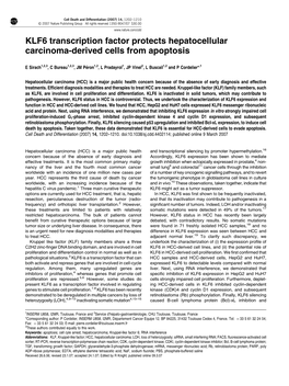 KLF6 Transcription Factor Protects Hepatocellular Carcinoma-Derived Cells from Apoptosis