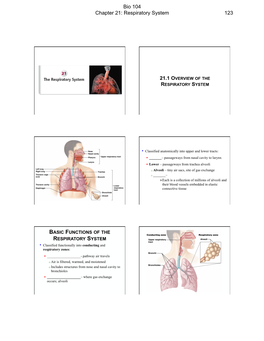 Bio 104 Chapter 21: Respiratory System 123