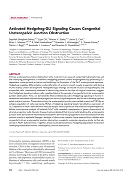Activated Hedgehog-GLI Signaling Causes Congenital Ureteropelvic Junction Obstruction