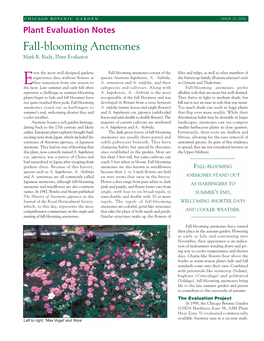 Fall-Blooming Anemones Mark R