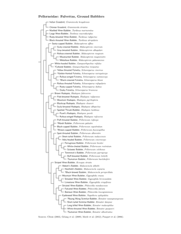 Pellorneidae.Pdf