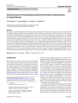 Social Structure of Gnamptogenys Bisulca (Formicidae: Ectatomminae) in Tropical Forests