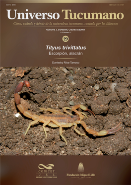 Tityus Trivittatus