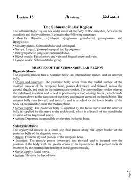 Lecture 15 احمد فاضل د. the Submandibular Region